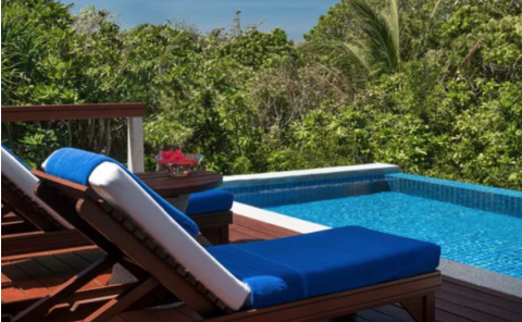 Treetop Pool casita