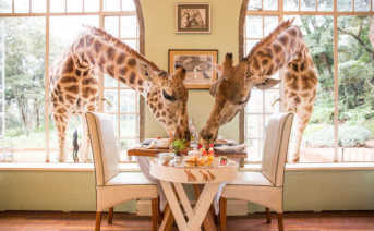 Giraffe Manor Hotel